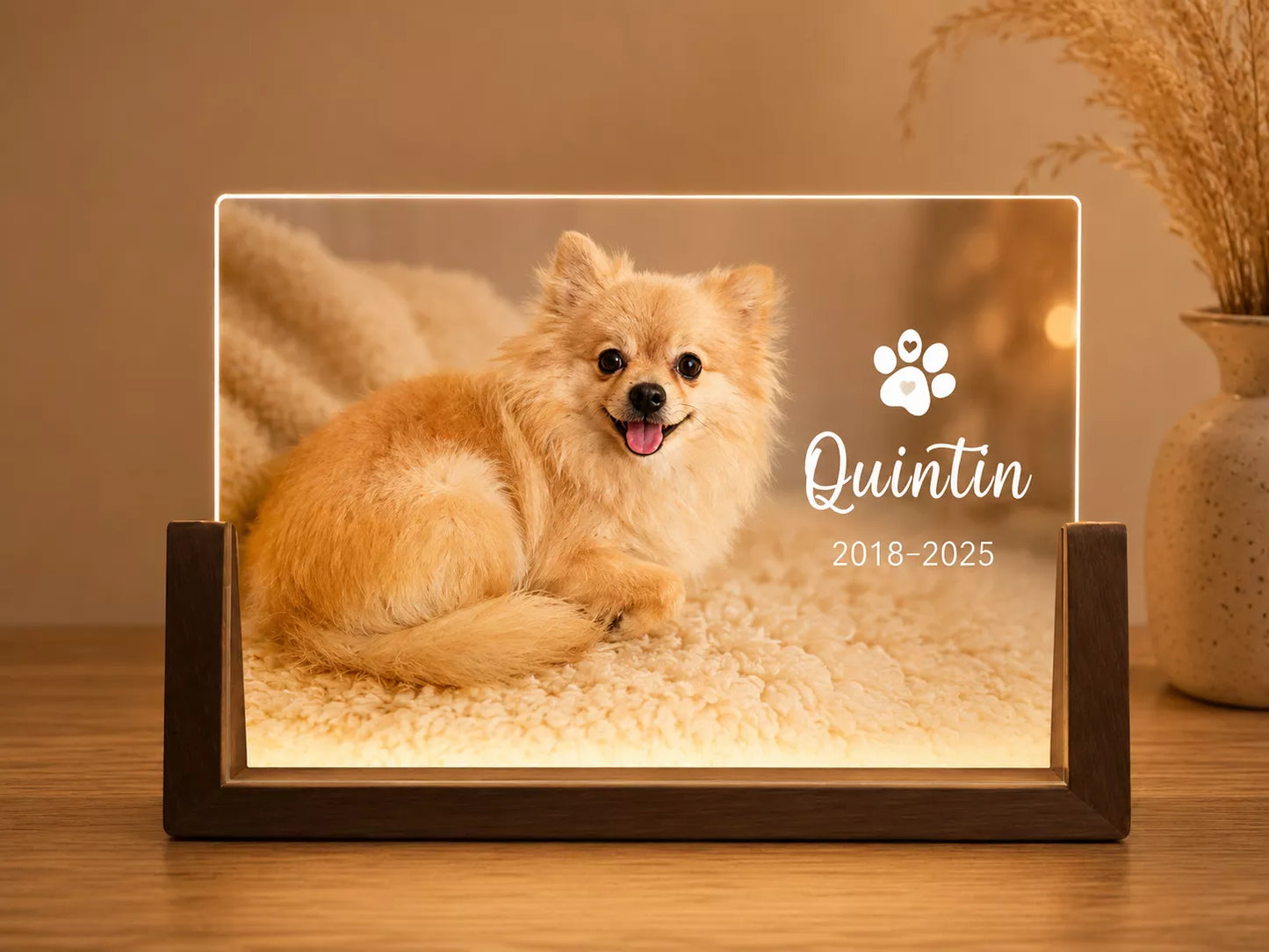 Custom Pet Portrait Light