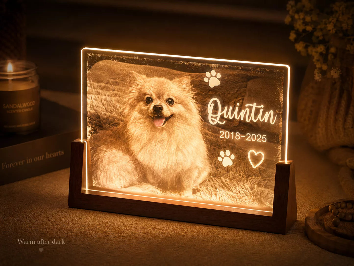 Custom Pet Portrait Light