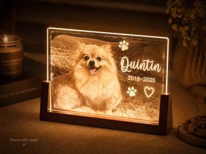 Custom Pet Portrait Light