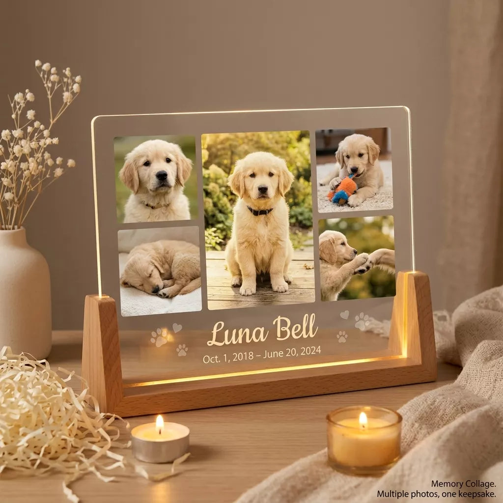 Custom Pet Portrait Light