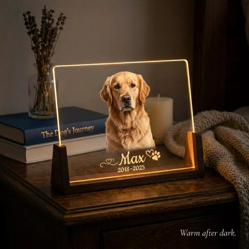 Custom Pet Portrait Light